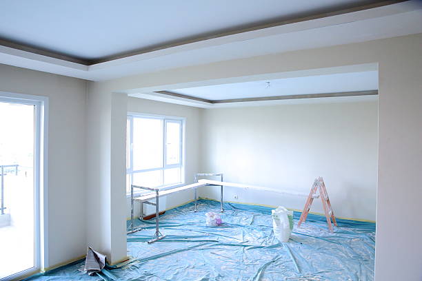 Best Repainting for Renovations  in South Roxana, IL